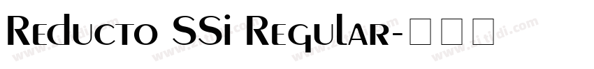 Reducto SSi Regular字体转换